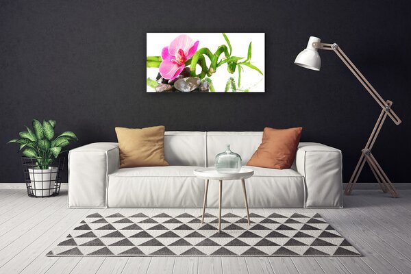 Quadro su tela Fiore, pianta, natura 100x50 cm