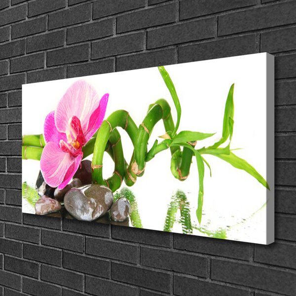 Quadro su tela Fiore, pianta, natura 100x50 cm
