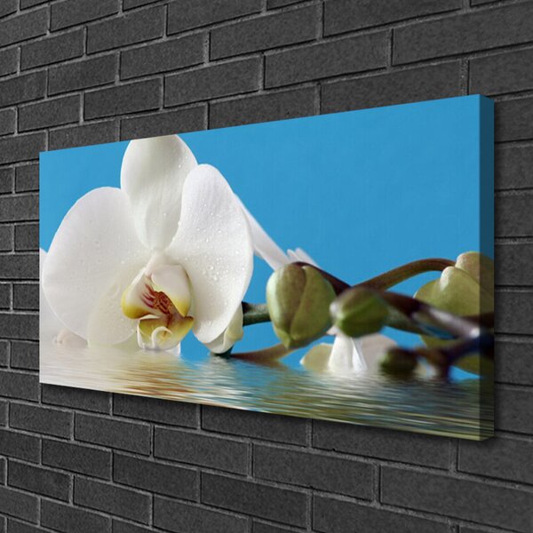 Quadro su tela Fiore, pianta, natura 100x50 cm