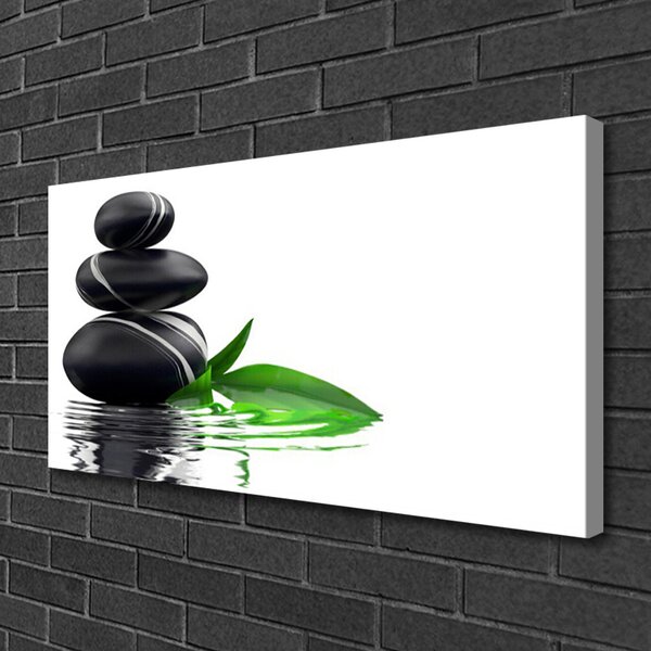 Quadro su tela Pietre, Foglie, Acqua, Arte 100x50 cm