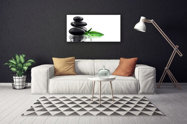 Quadro su tela Pietre, Foglie, Acqua, Arte 100x50 cm