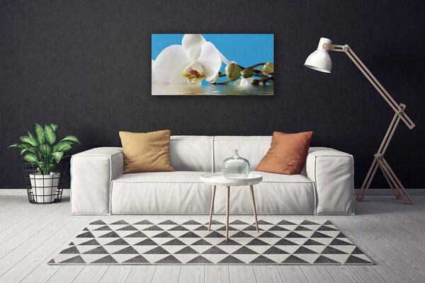 Quadro su tela Fiore, pianta, natura 100x50 cm