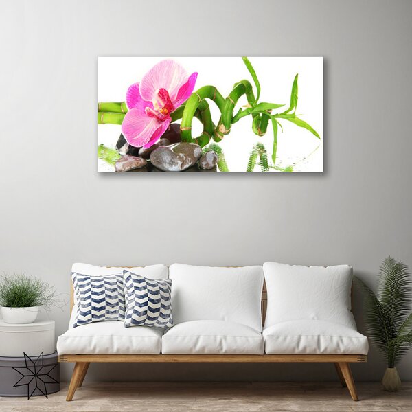 Quadro su tela Fiore, pianta, natura 100x50 cm