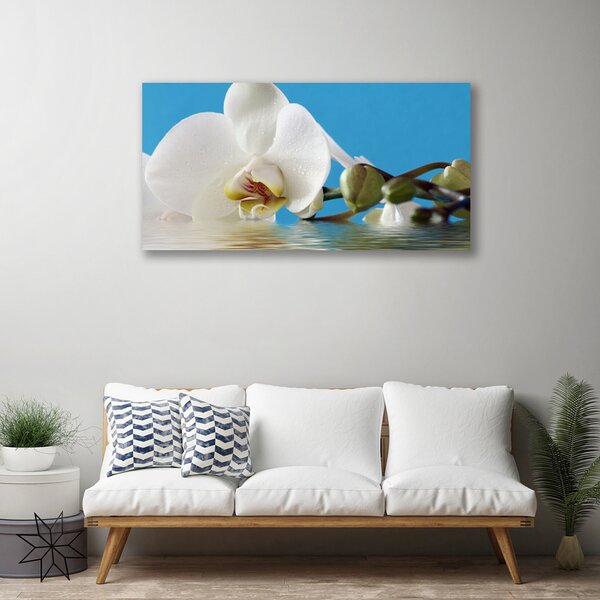 Quadro su tela Fiore, pianta, natura 100x50 cm