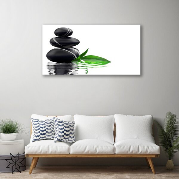Quadro su tela Pietre, Foglie, Acqua, Arte 100x50 cm