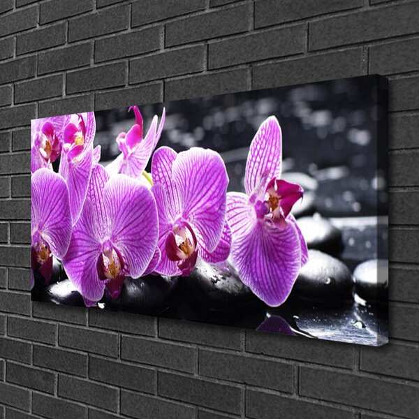 Stampa quadro su tela Fiore Sul Muro 100x50 cm