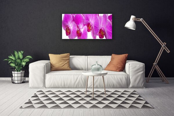 Quadro su tela Fiori, piante, natura 100x50 cm