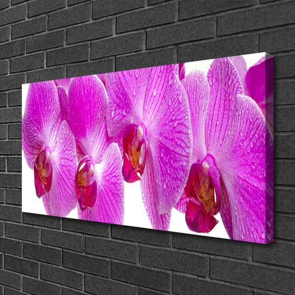 Quadro su tela Fiori, piante, natura 100x50 cm