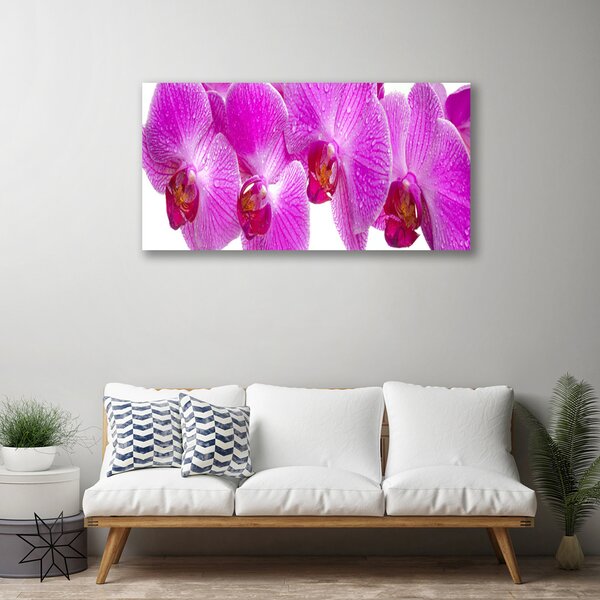 Quadro su tela Fiori, piante, natura 100x50 cm