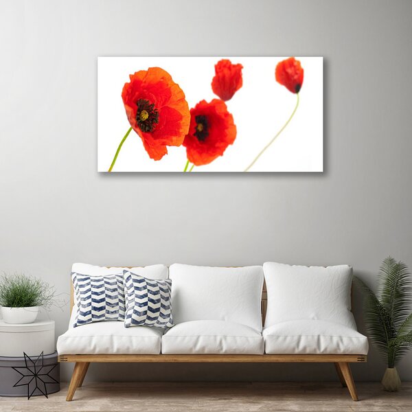 Quadro su tela I fiori della pianta 100x50 cm