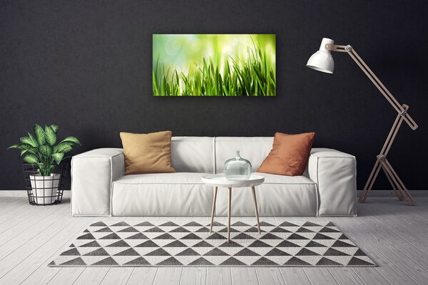 Quadro su tela Erba naturale 100x50 cm