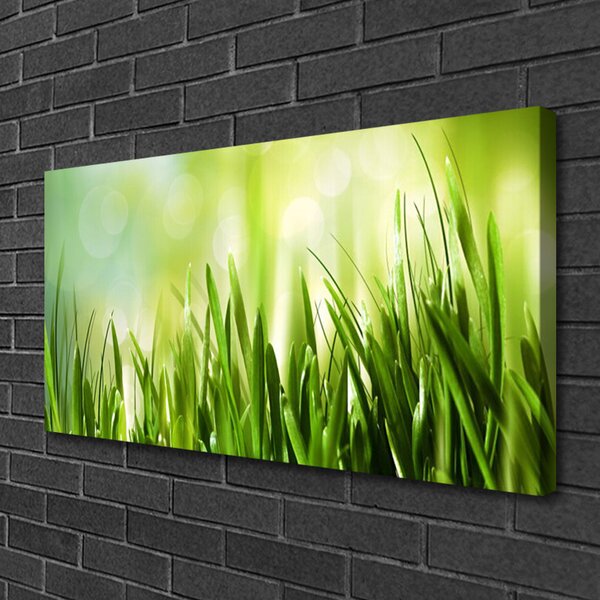 Quadro su tela Erba naturale 100x50 cm
