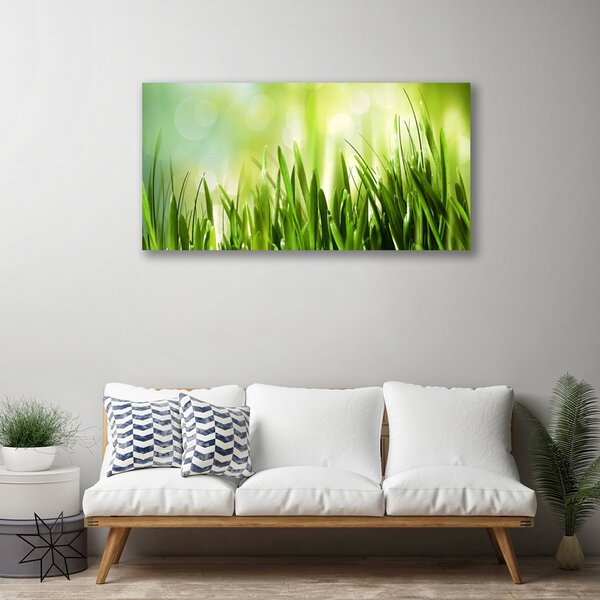 Quadro su tela Erba naturale 100x50 cm