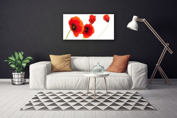 Quadro su tela I fiori della pianta 100x50 cm