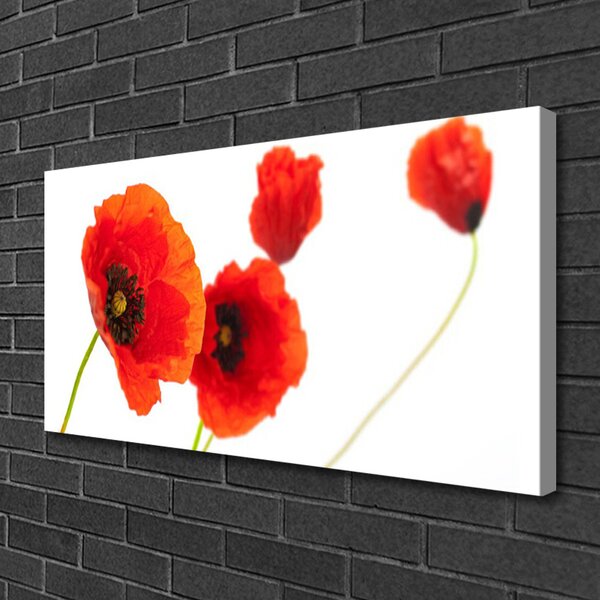 Quadro su tela I fiori della pianta 100x50 cm