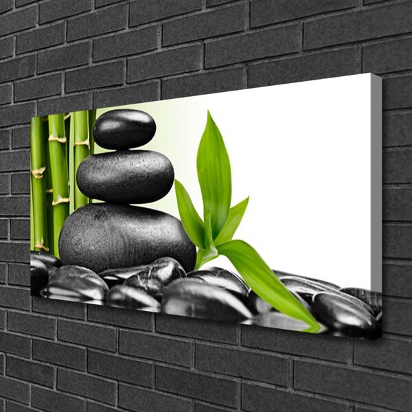 Foto quadro su tela Pietre, foglie, arte 100x50 cm
