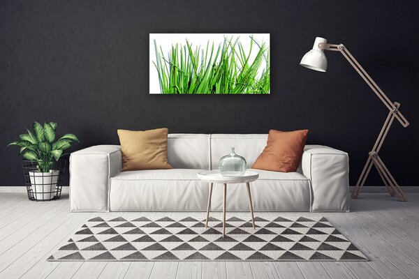 Quadro su tela Erba Sul Muro 100x50 cm