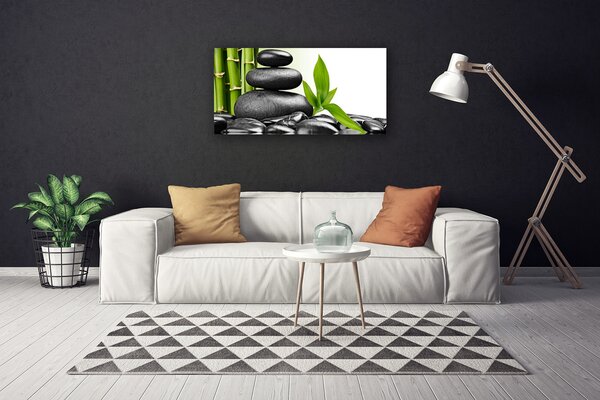 Foto quadro su tela Pietre, foglie, arte 100x50 cm