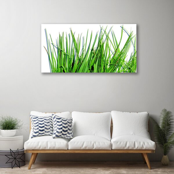 Quadro su tela Erba Sul Muro 100x50 cm