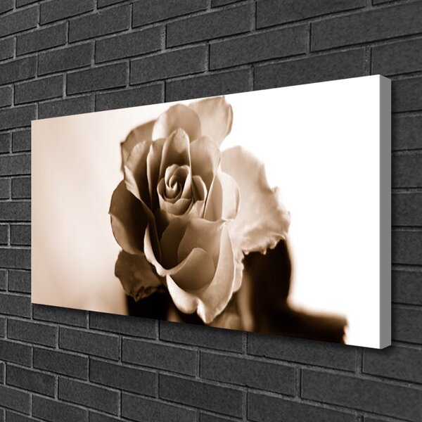 Quadro su tela Pianta di fiori di rosa 100x50 cm