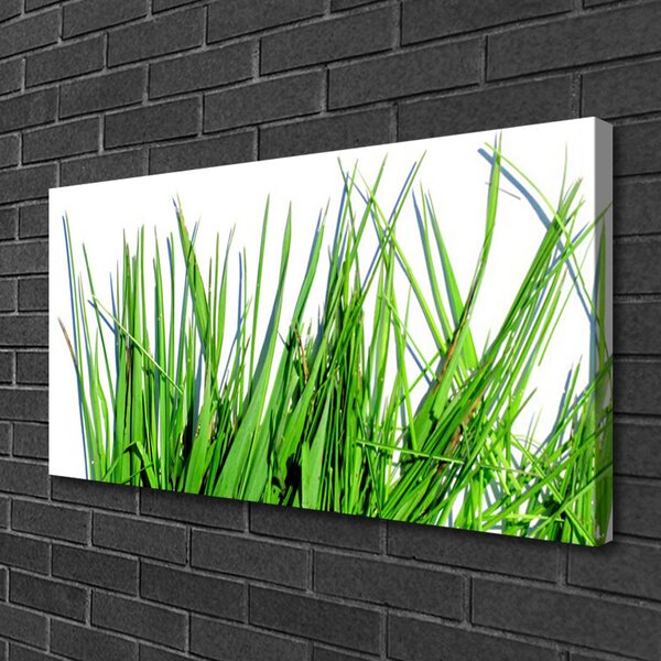Quadro su tela Erba Sul Muro 100x50 cm