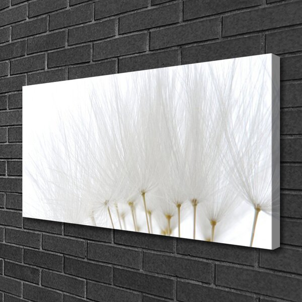 Quadro su tela Fiori Sul Muro 100x50 cm