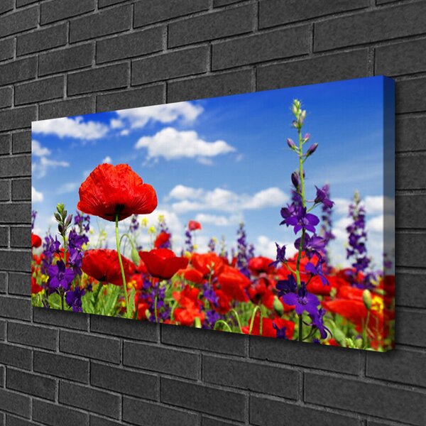 Quadro su tela Fiori Sul Muro 100x50 cm