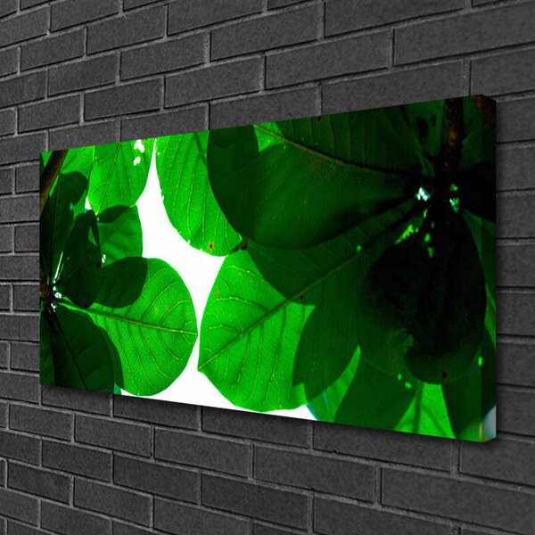 Quadro su tela Foglie Sul Muro 100x50 cm
