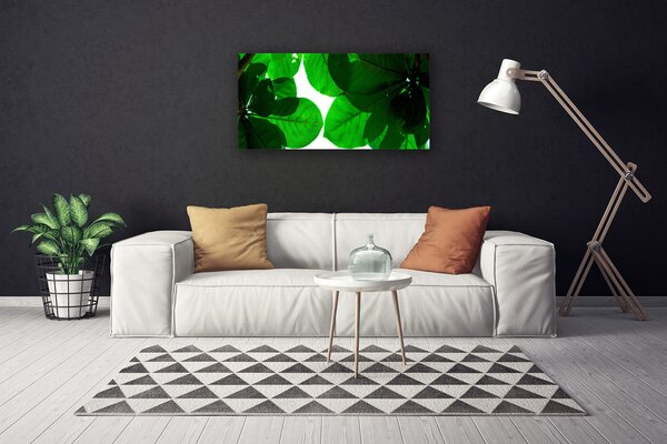Quadro su tela Foglie Sul Muro 100x50 cm