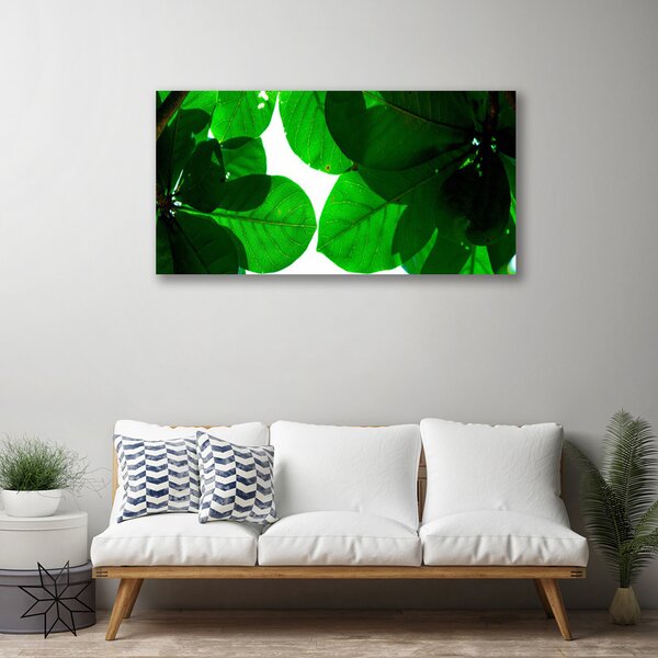 Quadro su tela Foglie Sul Muro 100x50 cm