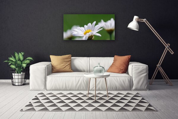 Quadro stampa su tela Margherita Sul Muro 100x50 cm