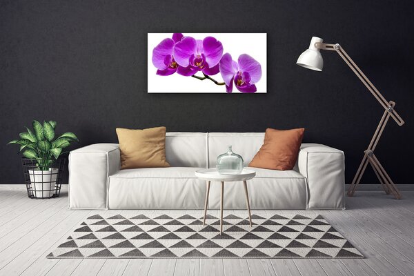 Stampa quadro su tela Fiori Sul Muro 100x50 cm