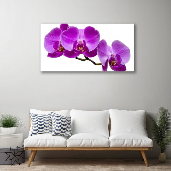 Stampa quadro su tela Fiori Sul Muro 100x50 cm