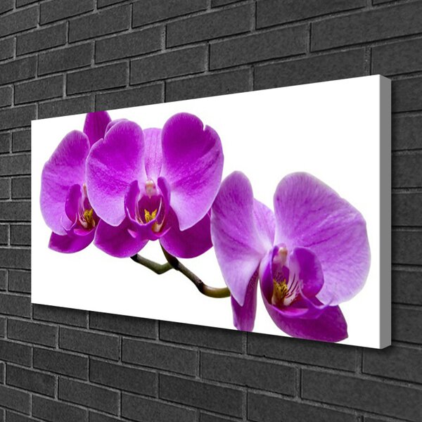 Stampa quadro su tela Fiori Sul Muro 100x50 cm