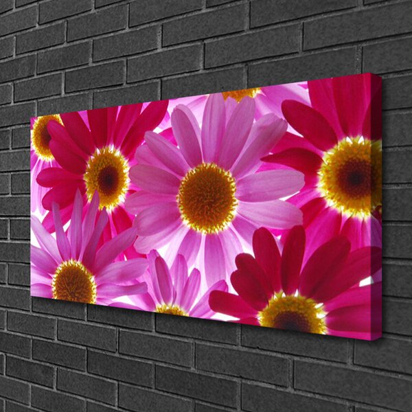 Quadro su tela Fiori Sul Muro 100x50 cm