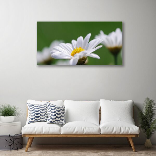 Quadro stampa su tela Margherita Sul Muro 100x50 cm
