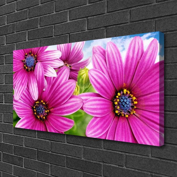 Quadro su tela Fiori Sul Muro 100x50 cm
