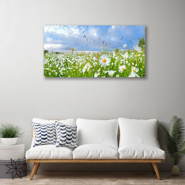 Quadro su tela Prato Daisy Natura 100x50 cm