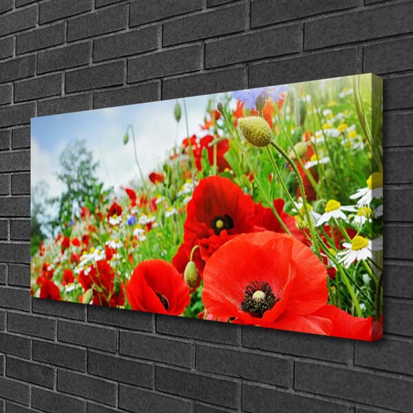 Quadro su tela Fiori della natura 100x50 cm