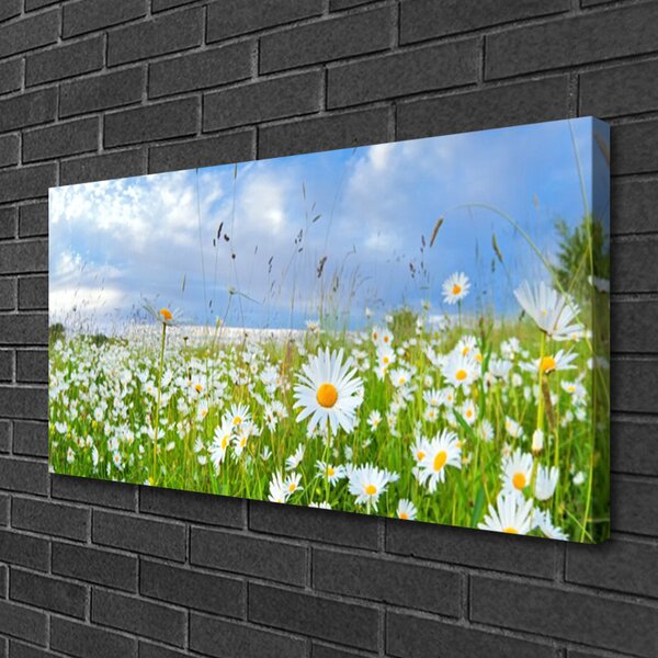 Quadro su tela Prato Daisy Natura 100x50 cm