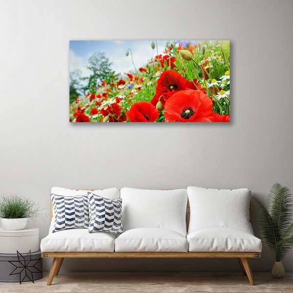 Quadro su tela Fiori della natura 100x50 cm