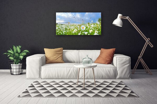 Quadro su tela Prato Daisy Natura 100x50 cm
