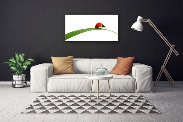 Quadro su tela Natura Coccinella 100x50 cm