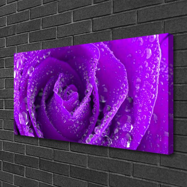 Quadro su tela Pianta di fiori di rosa 100x50 cm