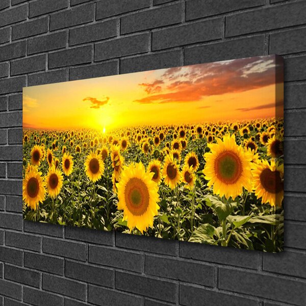 Quadro su tela Girasoli 100x50 cm