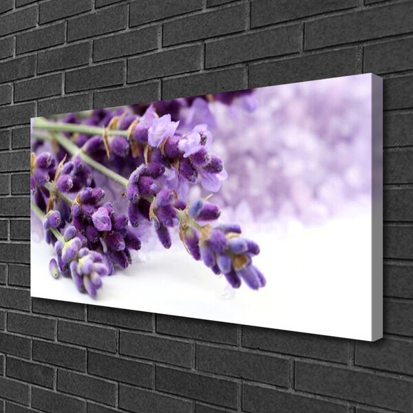 Quadro su tela Fiori Sul Muro 100x50 cm