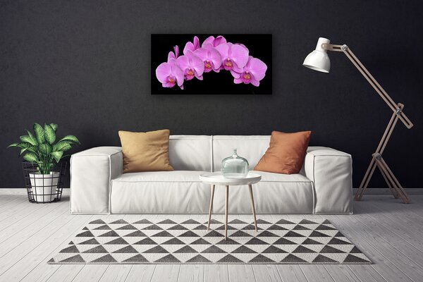Quadro su tela Fiori Sul Muro 100x50 cm