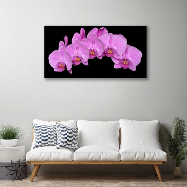 Quadro su tela Fiori Sul Muro 100x50 cm