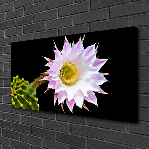 Quadro su tela Fiore Sul Muro 100x50 cm