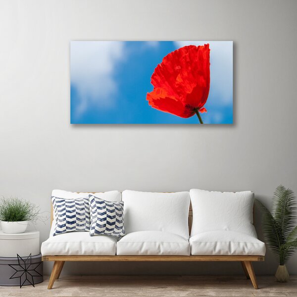 Quadro su tela Tulipano Sul Muro 100x50 cm